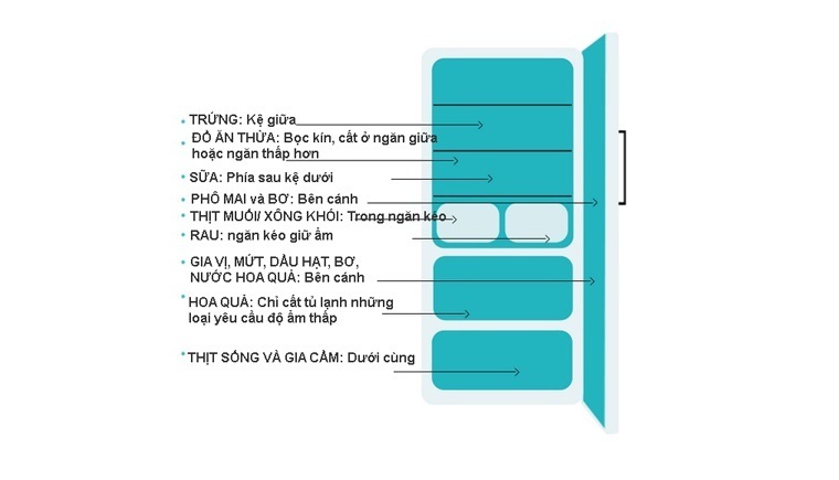 giữ thực phẩm tết trong tủ lạnh luôn tươi ngon đúng cách