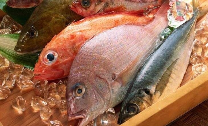 những điều cần lưu ý khi bảo quản thịt, cá trong tủ lạnh