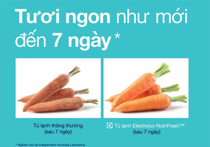 tủ lạnh dung tích lớn, nhiều công nghệ bảo quản cho thực phẩm dịp tết