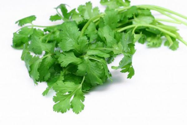 11 loại thực phẩm không nên cho vào tủ lạnh