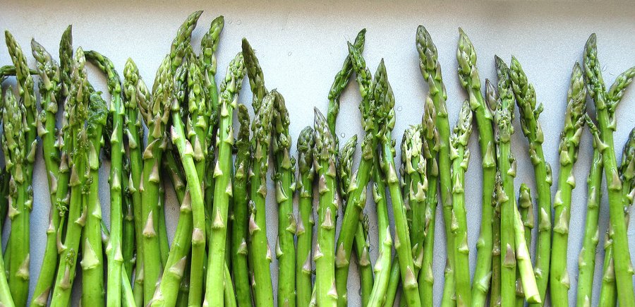 10 cách giúp bảo quản thực phẩm trong tủ lạnh tươi và lâu hơn