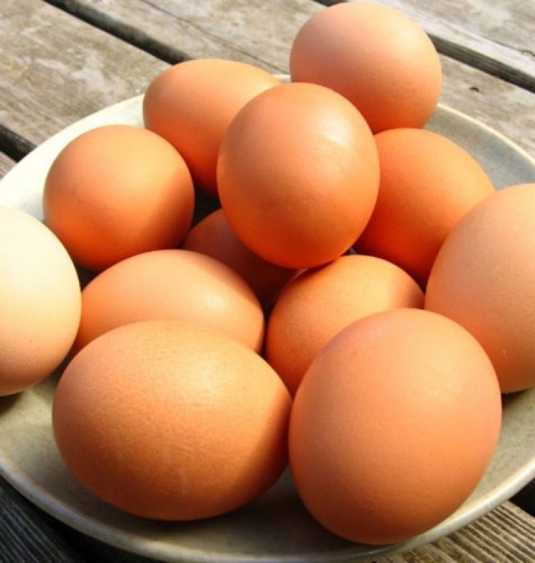 giữ thực phẩm tết trong tủ lạnh luôn tươi ngon đúng cách