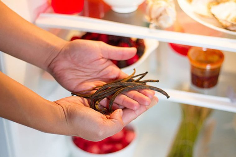 hướng dẫn cách vệ sinh tủ lạnh đơn giản dễ làm tại nhà