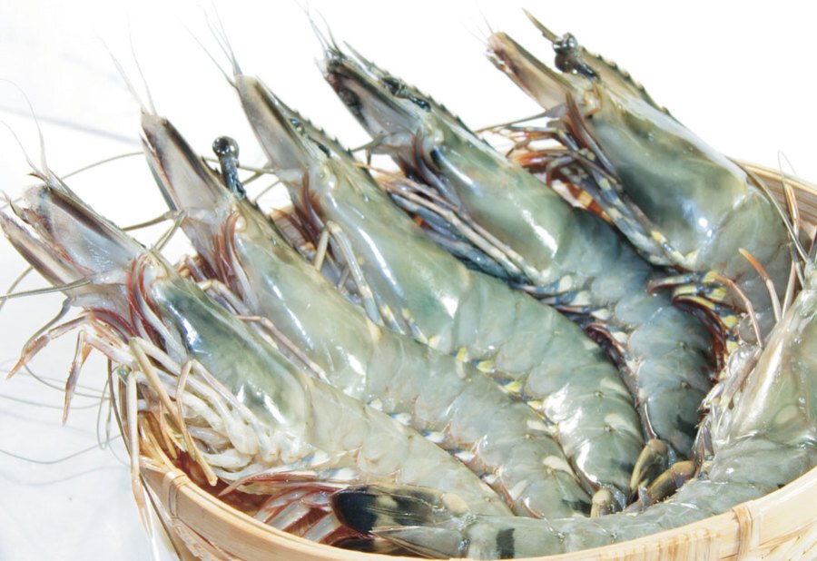 3 tiện ích tuyệt vời đến từ ngăn aqua triple fresh của tủ lạnh aqua