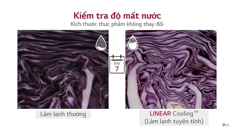 công nghệ linear inverter trên tủ lạnh lg có lợi ích gì?