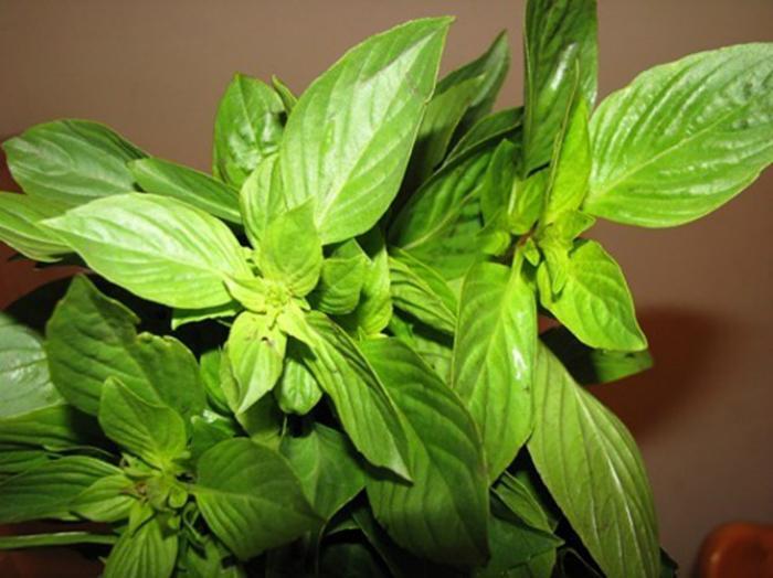 10 thực phẩm để tủ lạnh lợi ít hại nhiều