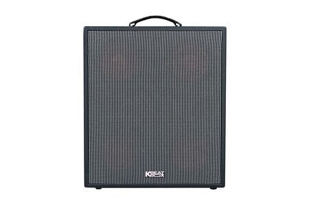 Loa kéo Acnos CS550 (Bass 16.3cm, 300W, Tặng 2 Micro, Pin 5-7h)