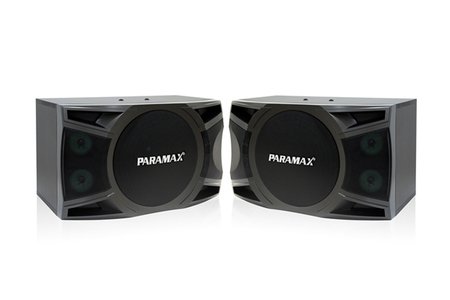 Loa treo PARAMAX P-1000