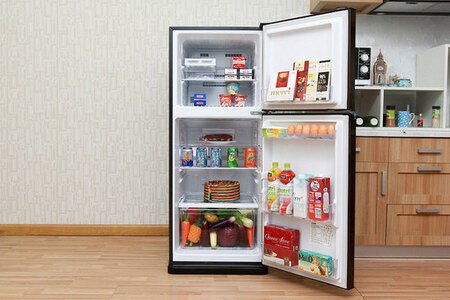 Tủ lạnh Mitsubishi Electric MR-FV24J-BR-V 204L