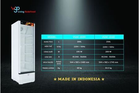 Tủ mát 250 lít VGO VGSC 253D