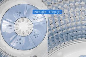 Máy giặt Aqua 10.5 kg AQW-FW105AT N