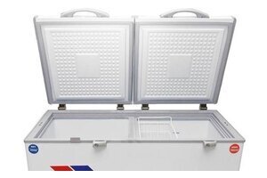 Tủ đông Sanaky VH-2599W1 250 lít