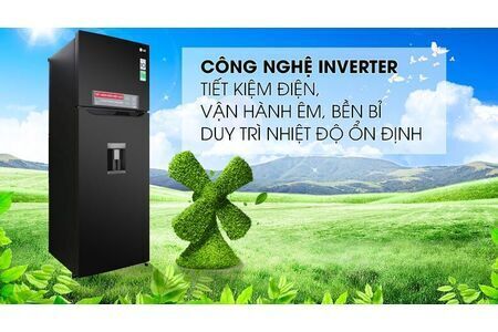 Tủ lạnh LG Inverter 315 lít GN-D315BL