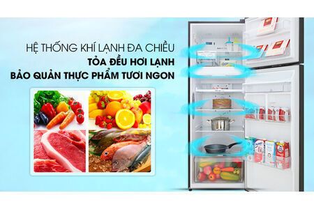 Tủ lạnh LG Inverter 315 lít GN-D315BL