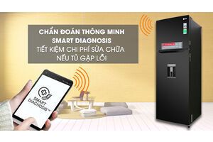 Tủ lạnh LG Inverter 315 lít GN-D315BL