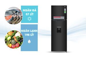 Tủ lạnh LG Inverter 255 lít GN-D255BL