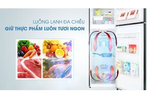 Tủ lạnh LG Inverter 255 lít GN-D255BL