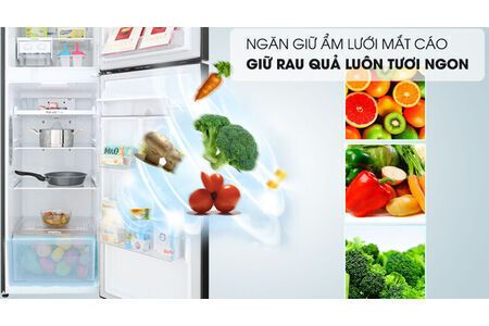 Tủ lạnh LG Inverter 255 lít GN-D255BL