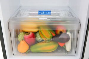 Tủ lạnh LG Inverter 255 lít GN-M255BL