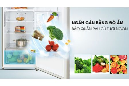 Tủ lạnh LG Inverter 315 lít GN-D315S