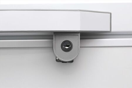 Tủ đông Alaska BD-150 100 lít