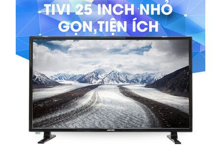 Tivi LED ASANZO 25 inch 25S200T2
