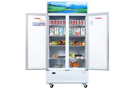 Tủ mát Sanaky Inverter VH-1009HP3 1000 lít