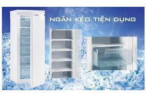 Tủ đông đứng Alaska 210 lít IF-21