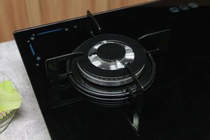 Bếp gas âm Rinnai RVB-212BG(SL)