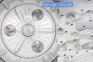 Máy giặt LG Inverter 9.5 kg T2395VS2M