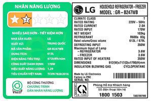 Tủ lạnh LG Inverter 613 lít GR-B247WB