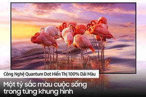 Smart tivi Qled 4K Samsung 75 inch 75Q70A