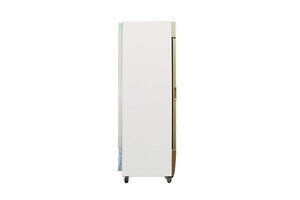 TỦ ĐÔNG ĐỨNG ALASKA IF-350G