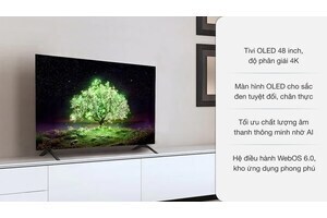 Smart Tivi OLED LG 4K 48 inch OLED48A1PTA