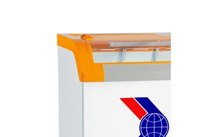 Tủ Đông Sanaky VH-4899KB 350 lít