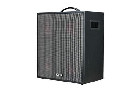 Loa kéo Acnos CS550 (Bass 16.3cm, 300W, Tặng 2 Micro, Pin 5-7h)