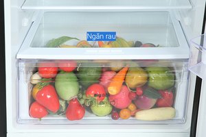 Tủ lạnh Samsung Inverter 460 lít RT46K603JB1/SV