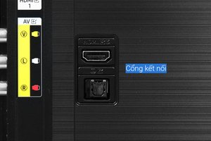 Smart Tivi Samsung 4K Crystal UHD 55 inch UA55AU8100