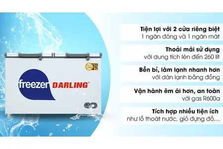 Tủ đông Darling 260 lít DMF-3999 W2