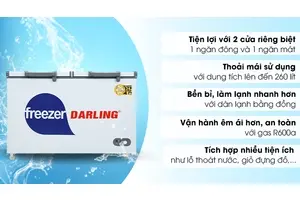 Tủ đông Darling 260 lít DMF-3999 W2