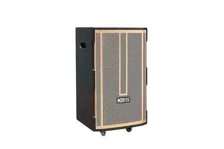 Loa Kéo Bluetooth Acnos CB392G Karaoke Di Động