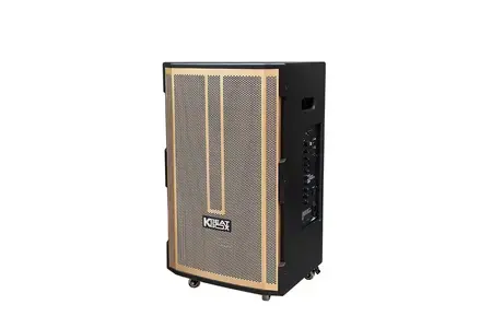 Loa Kéo Bluetooth Acnos CB392G Karaoke Di Động