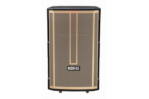 Loa Kéo Bluetooth Acnos CB392G Karaoke Di Động