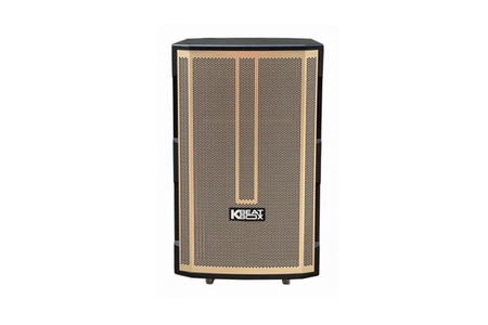 Loa Kéo Bluetooth Acnos CB392G Karaoke Di Động