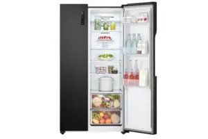 Tủ lạnh LG Inverter 519 lít GR-B256BL