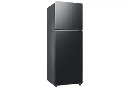 Tủ Lạnh Samsung Inverter 348 Lít RT35CG5424B1SV