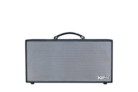 Loa xách tay Acnos CS450SR (2 Bass 16.5cm, 150W, Kèm 2 Micro)