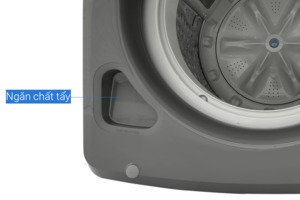 Máy giặt Samsung Ecobubble Inverter 10.5 kg WA10CG5745BDSV