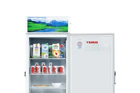 Tủ Mát Sanaky 350 Lít VH-3589K