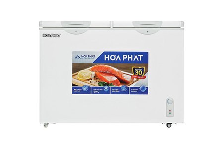 Tủ đông Hòa Phát HPF BD6245